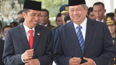 SBY, Presiden Jokowi, cawe-cawe, Pilpres 2024